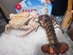 -南海渔村(珠江新城店)