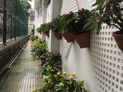 -彩虹村