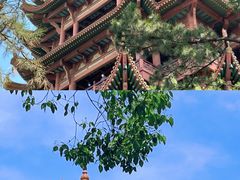 -黄鹤楼