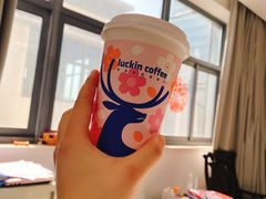 -瑞幸咖啡(江苏国家数字出版基地店)