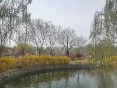 -南翠屏公园