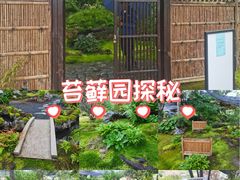 -上海植物园-4号门售票处