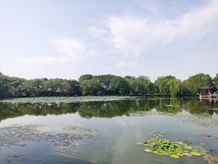 -西湖游船