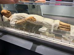 -荆州博物馆