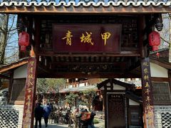 -青城甲(青城山店)