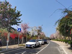 -小南山公园