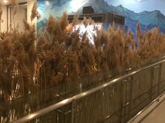 -银川河东国际机场