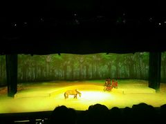 -cavalia·舞马