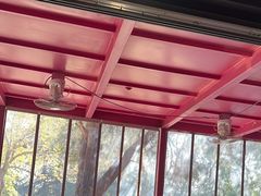 -鸡鸣汤包(红山动物园店)