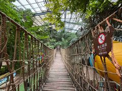 -呀路古热带植物园
