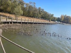 -野鸭湖国家湿地公园