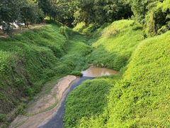 -大雁山风景区