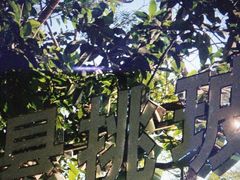 -呀诺达热带雨林