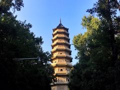 -灵谷景区