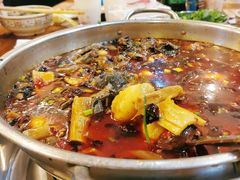 -黑竹香鸡(营和巷店)