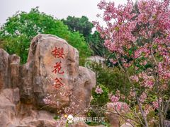 -狐尾山公园
