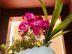 -香港威特瑞茶餐厅(小白楼音乐厅店)