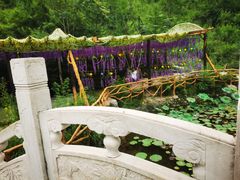 -大平台龙居瀑布旅游区