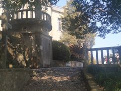 -上海佘山国家森林公园西佘山园