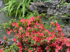 -聚福宝合苑食府(南头镇店)