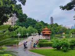 -荔枝公园(福田区)