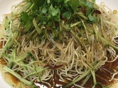 凉面-丁老爷子苏香圆