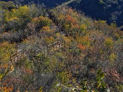 -大岭沟猕猴桃谷风景区