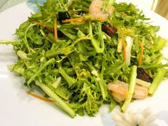 -新世纪绿洲(抚顺店)