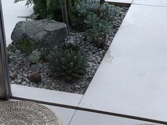 -喜茶(珠海华发商都店)