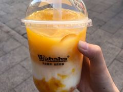 -娃哈哈·奶茶(武林店)