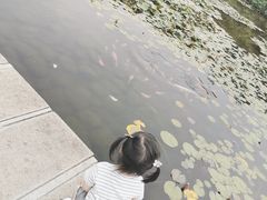 -白马涧龙池景区