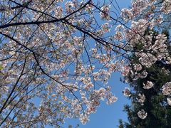 -南京城墙景区