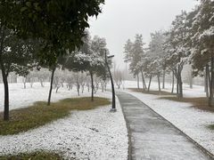 -洨河生态公园
