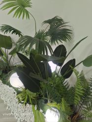 -HEYAN荷妍专业脱毛连锁机构
