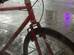 景观位-常识咖啡common sense(春熙路店)