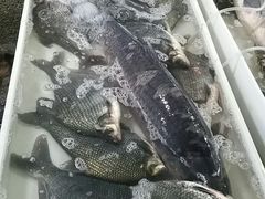 -北京清河镇农副产品交易市场中心