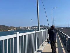 -星海湾跨海大桥