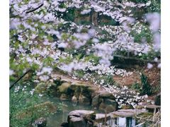 -苏州上方山国家森林公园