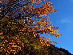-叠溪松坪沟景区