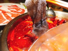 -渝味晓宇火锅(合川路店)