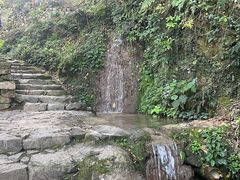 -杨家堂村