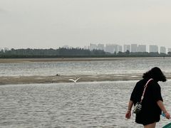 -红树林天天赶海