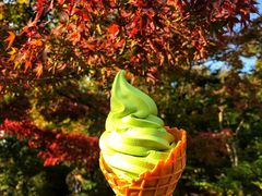 -豆政(金閣寺境内売店)