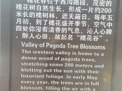 -金龙寺国家森林公园