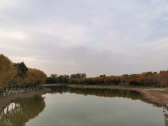 -大兴滨河森林公园