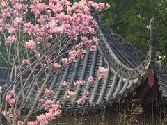 -长春观