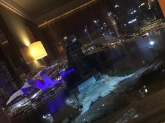 -新加坡丽思卡尔顿美年酒店