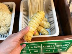 -外沙疍家棚酒楼
