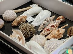 -中国湿地博物馆