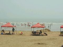 -日照海滨国家森林公园
